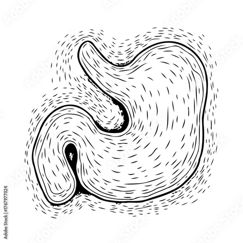 Stylized monochrome depiction of a human organ artwork revealing an anatomical stomach