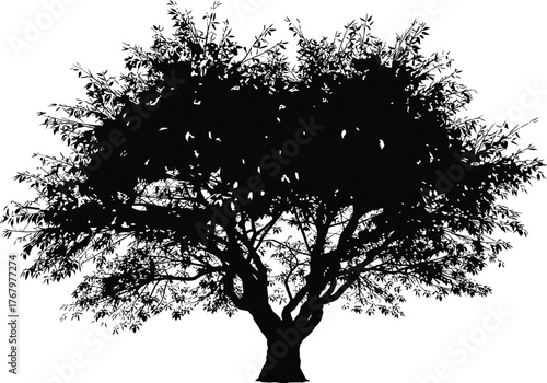 Tree silhouette illustration, full canopy vector design, thick trunk and branch detail, black and white nature art, mature tree shape pack