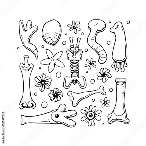 Whimsical anatomical assortment artistic compilation skeletal fragments and floral elements a