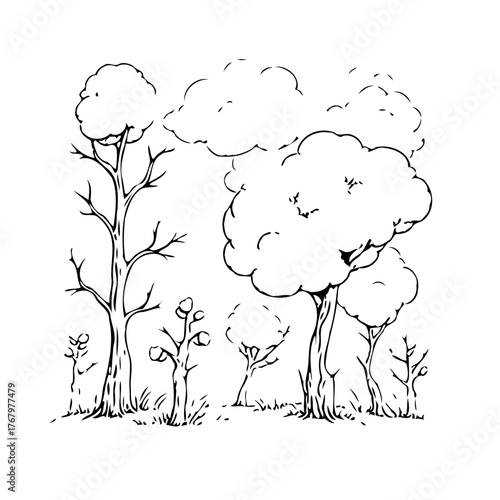 Whimsical arboreal sketch depicting a tranquil woodland scene with fluffy cloud-like treetops in