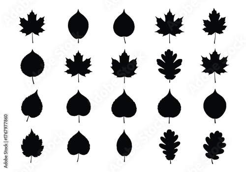 Vector silhouettes of various leaf shapes, nature-inspired graphic design elements, flat black icons, isolated on white background, clean vector illustration
