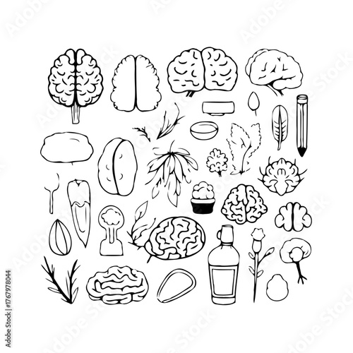 Whimsical cerebral garden a creative illustration of diverse thoughts ideas and botanical elements