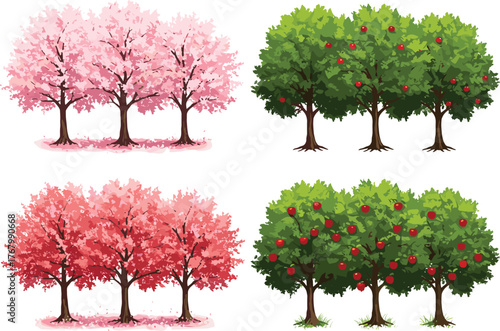 Seasonal tree illustration showing spring blossoms, summer apples, autumn foliage, and seasonal growth cycle, perfect vector design for nature education content
