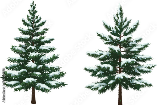 Snow covered evergreen pine trees illustration with winter forest landscape, seasonal nature background, holiday decoration, frosty cold weather vector design