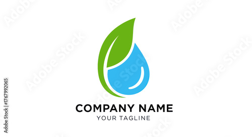 Abstract Logo Design Featuring a Green Leaf and a Blue Water Drop.