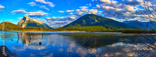 Canvas Print Panorama of Vermillion Lakes Mountain Reflections Water and Birds in Vibrant Sun