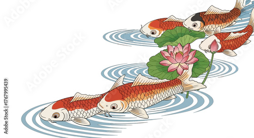 Elegant koi carp with lotus blossom illustration creating a serene and zen-like artistic composition