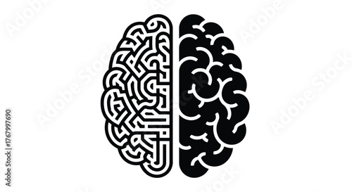 Stylized illustration of a human brain divided into two halves, one abstract and one solid