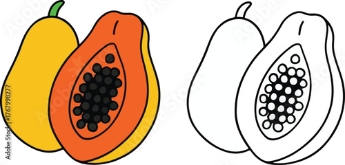 Colorful and outline vector illustration of tropical papaya fruit isolated on white background