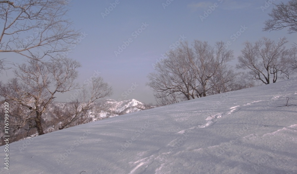 Fototapeta premium Frost in Mt.Otoe 音江山の樹氷