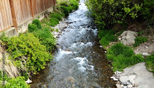 Stream flowing through a rural Japanese landscape
