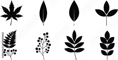 Botanical leaf silhouette vector set featuring diverse foliage shapes, compound leaves, nature icons for design, decoration, and plant identification