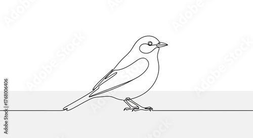 Elegant simplicity single line illustration of a bird creating a minimalist artwork