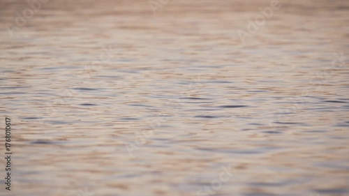 A minimalist abstract background video of a calm water surface reflecting the beautiful soft golden colors of the sunset