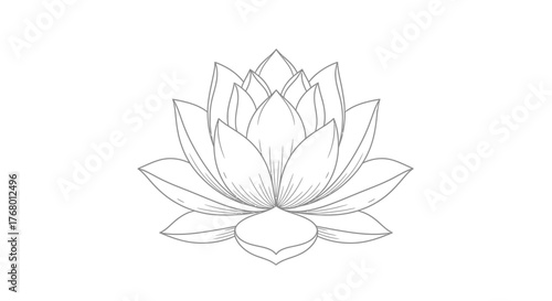 Elegant lotus flower illustration presenting harmony and purity with delicate lines