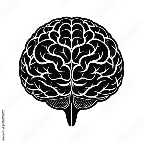 Detailed anatomical human brain vector