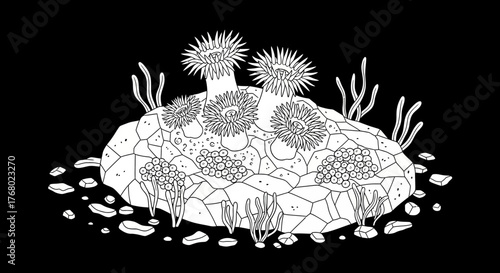 Detailed illustration of a vibrant coral reef ecosystem with anemones and marine life.