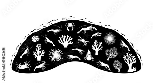 Diverse Marine Life Assemblage in Black and White Silhouette.