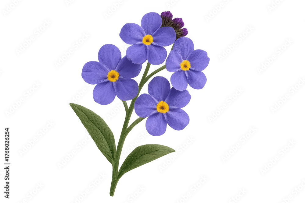 Naklejka premium Forget-me-not flower illustration with purple petals and green leaves, transparent background