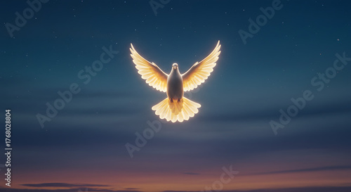 Holy Spirit White Dove with Divine Light, Christian Spiritual Faith Religious Photography