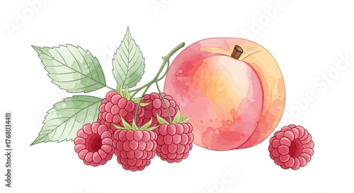 Delicate watercolor illustration of fresh raspberries with leaves and a ripe peach isolated on