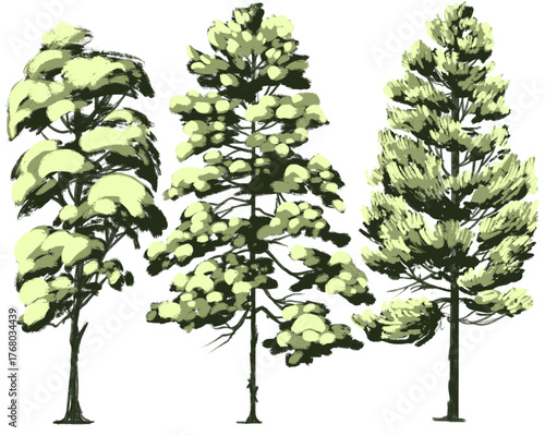 A digital illustration featuring three tall, stylized evergreen or coniferous trees with rough, brush-stroke textures. The foliage is rendered in shades of light yellow-green against a muted gray back