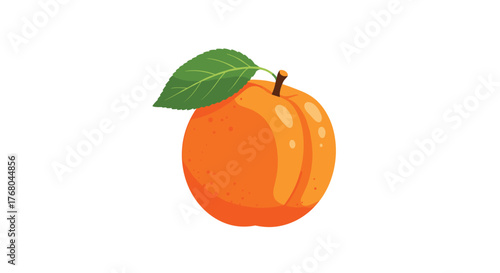 A single fresh and ripe orange apricot fruit with a green leaf and a small brown stem, isolated on a clean white background.