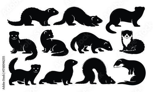 Ferret and Weasel Silhouette Set, Black and White Mustelidae Poses, Mink, Ferret, and Polecat Silhouettes, silhouette, vector, illustration.