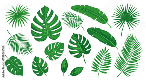 Vibrant green tropical leaves collection for lush summer designs and natural themes
