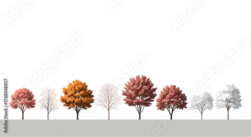 Vibrant trees showcase nature's seasonal transformation from autumn colors to winter bareness and frost