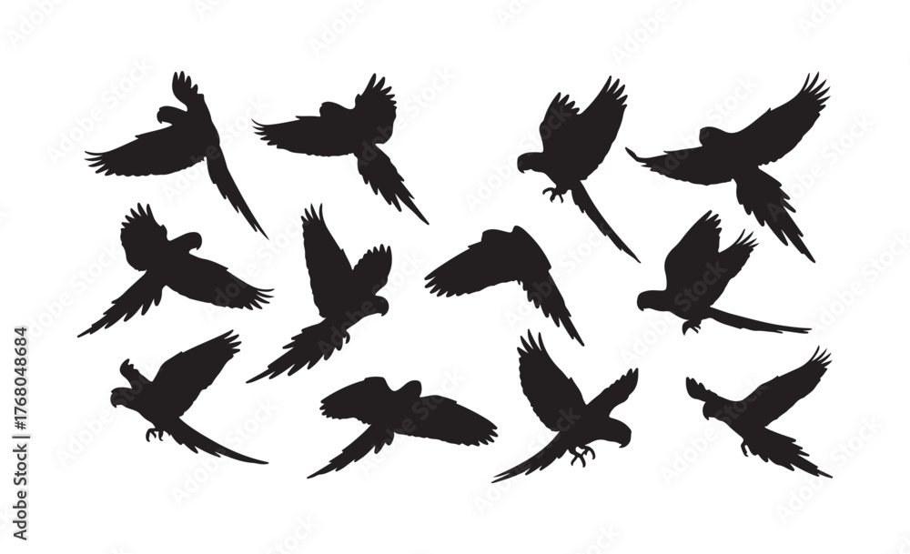 Obraz premium set of silhouettes of birds