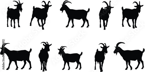 Collection of goat silhouettes in standing and walking poses, black farm animal vector illustration for agriculture, nature, and livestock design projects