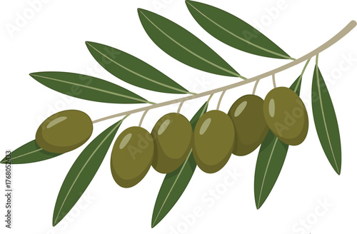 Fresh green olives on a branch with leaves perfect for culinary and decorative uses