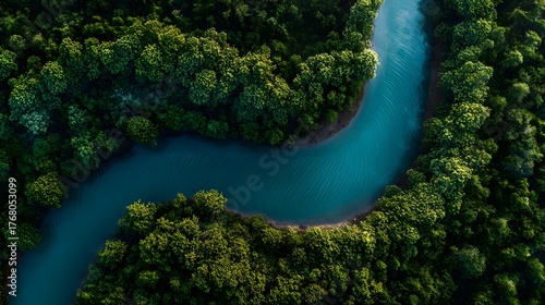 Serpentine waterway winds through dense emerald foliage viewed from high altitude