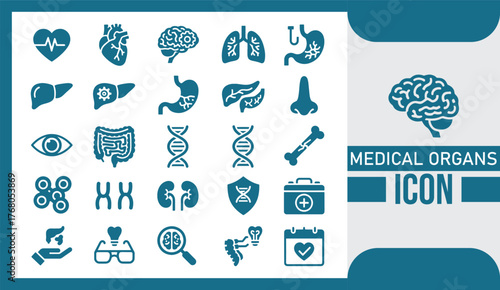  Human Medical Organs Icon Set Flat Vector Collection Depicting Anatomical Body Parts, Internal Organs, and Healthcare Symbols