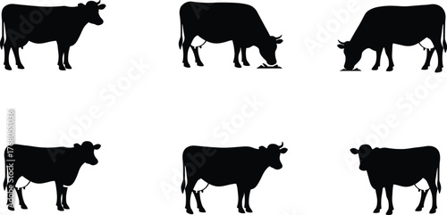 Cow silhouette collection, standing and grazing cows vector illustration, farm animal shapes for dairy, agriculture, logo, and design projects