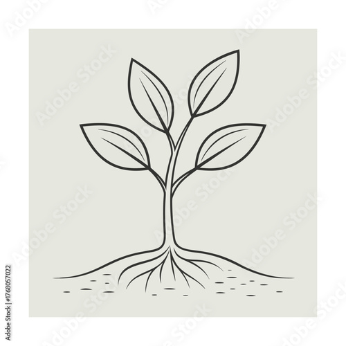 Simple line drawing of a plant seedling with roots and leaves Keywords: plant, seedling, sprout, growth, roots, leaves, stem, soil, nature