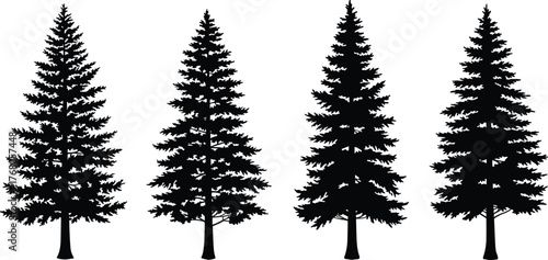 Pine tree silhouette vector set, evergreen forest illustration, black conifer trees, natural woodland elements for design, logo, and decoration use