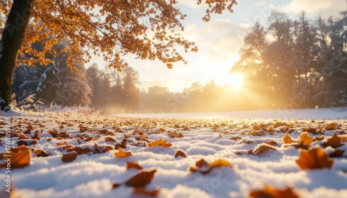 Autumn Leaves on Snow A Sun-Kissed Winter Landscape with Golden Foliage