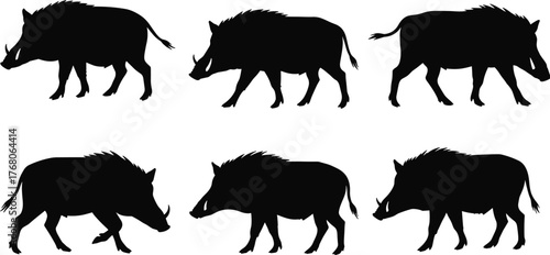 Wild boar silhouettes collection, animal outline set isolated on white background, wildlife art illustration, forest pig shapes, vector design