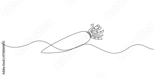 Radish vegetable one line art vector illustration,Continuous Line Drawing of Fresh Radishes