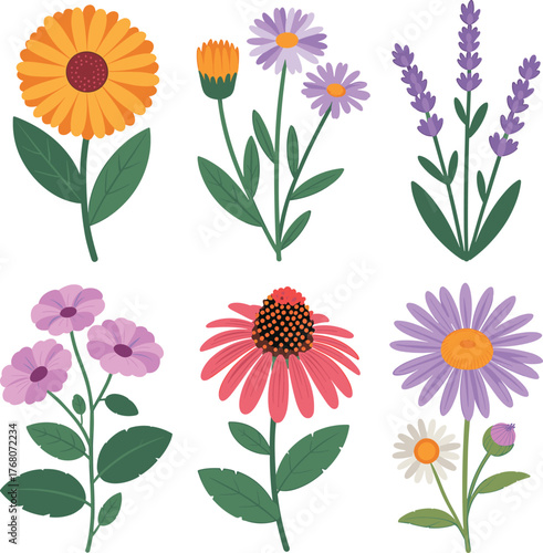 Abstract geometric design with vibrant color palette and helvetica courier typography