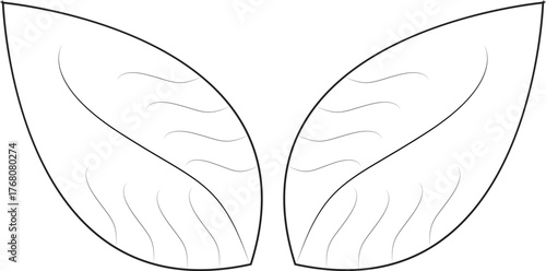 Shows two mirrored, leaf-shaped outlines with internal, curved, and wavy lines that suggest venation (leaf veins) or internal texture.