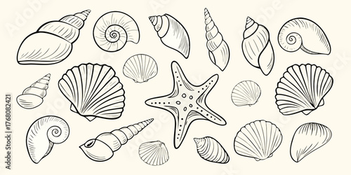 Collection of hand drawn seashells and starfish illustrations on a cream background