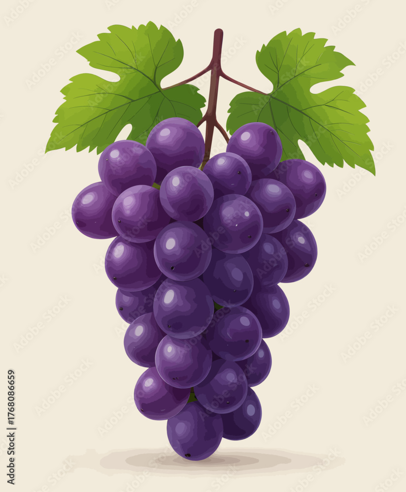Fototapeta premium Purple grape cluster with green leaves, realistic vector illustration, isolated on beige background