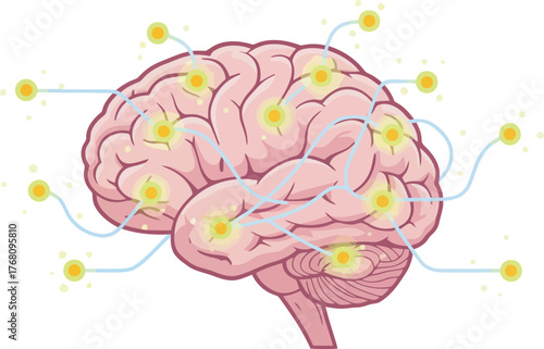 Illustration of a human brain with glowing connections, representing thought processes.