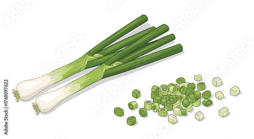 Illustration of whole and chopped green onions on a white background.