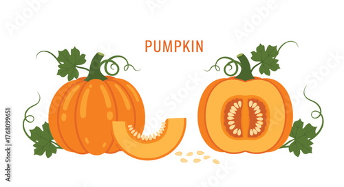 An illustration of a whole pumpkin, a sliced pumpkin, and a pumpkin wedge with scattered seeds.