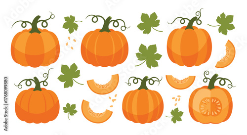 Collection of whole and sliced pumpkins with leaves and seeds for autumn or Halloween designs.