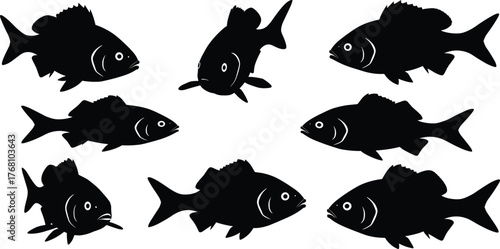 Collection of fish silhouettes in various swimming positions, aquatic animal illustration for marine life design, fishing concept, and underwater wildlife art